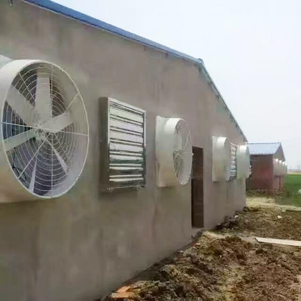 養殖黄瓜视频IOS下载的重要性