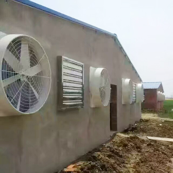 養殖黄瓜视频IOS下载
